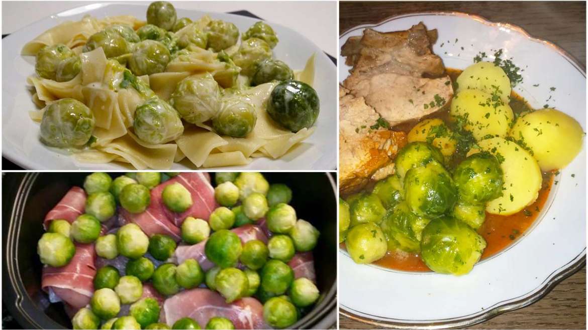 Zacusca – Rumänischer Gemüseaufstrich (rezept original) – gourmetblog.net